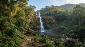Talakona Waterfalls Open Timings guide: 270-foot forest cascade near Tirupati