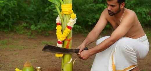 cutting banana tree for marriage to remove Kuja Dosha