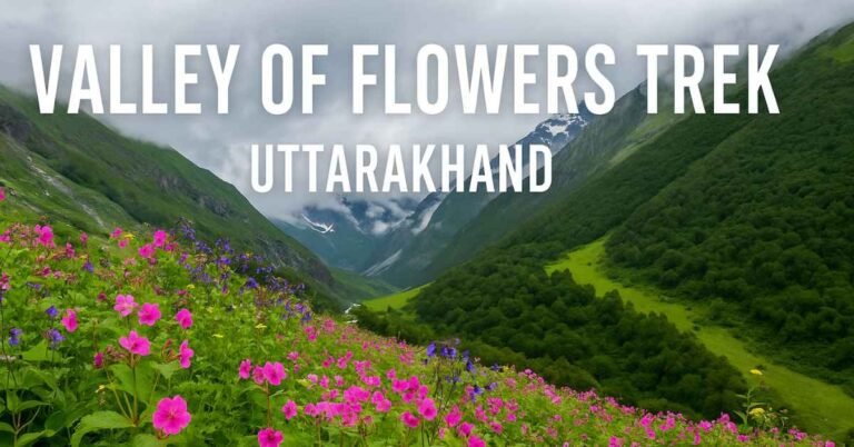 Valley of Flowers Trek in Uttarakhand – Plan your Himalayan adventure today