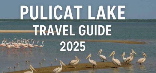 Pulicat Lake travel guide