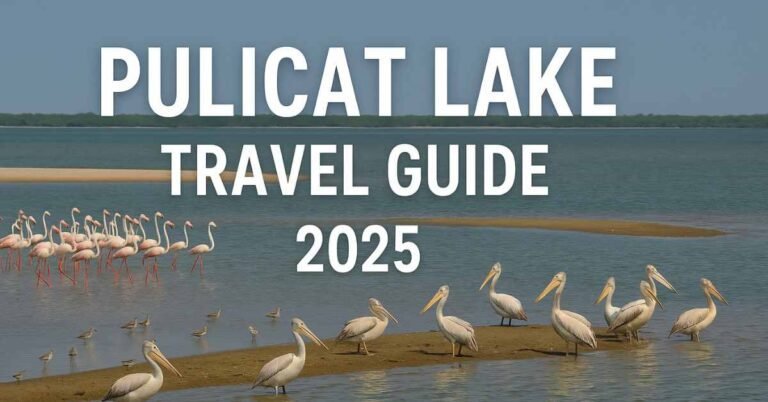 Pulicat Lake travel guide