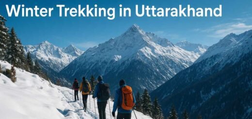 Winter Trekking in Uttarakhand