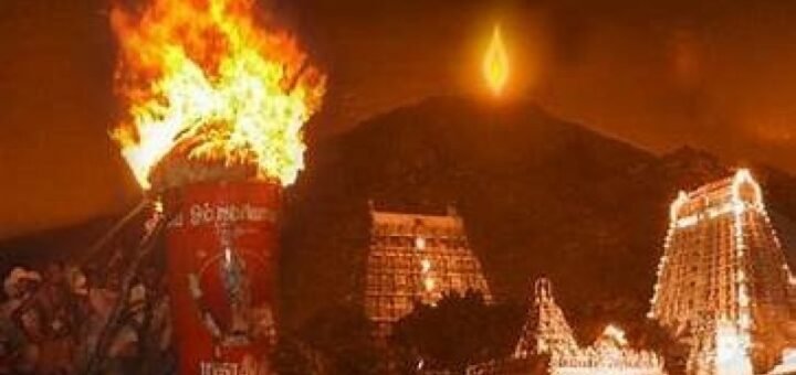 Karthika Pournami Tiruvannamalai Darshan Booking Procedure festival scene