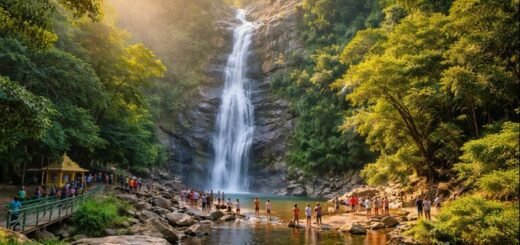 Talakona Waterfalls Entry Open and scenic view with visitors