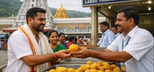 Tirupati Tirumala Ttd Free laddu prasadam being collected after darshan