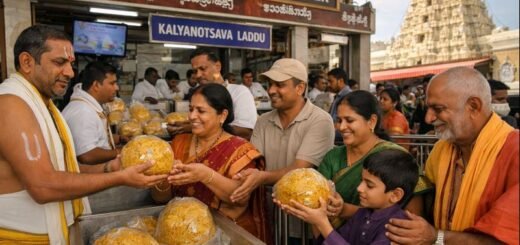 Ttd Kalyanotsavam Laddu Tirumala sacred prasadam distribution scene