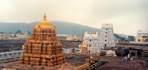 2022 November Tirumala Rs 300 Special Darshan queue at Tirumala Temple