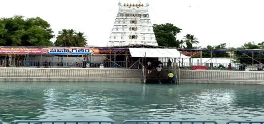 How To Reach Srinivasa Mangapuram From Tirupati Directions travel route