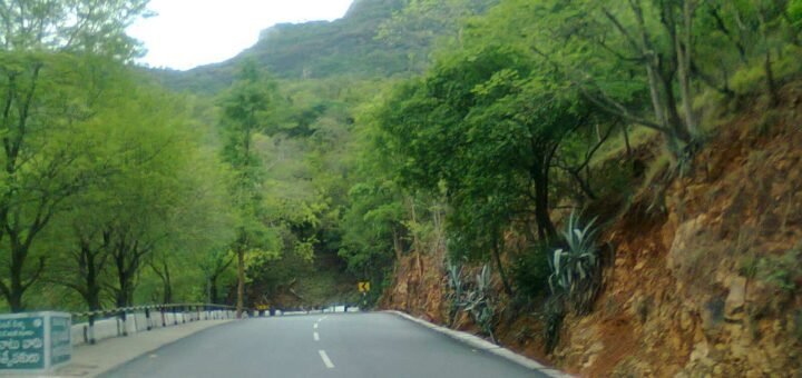 Tirumala Year 2023 Darshan temple entrance scene