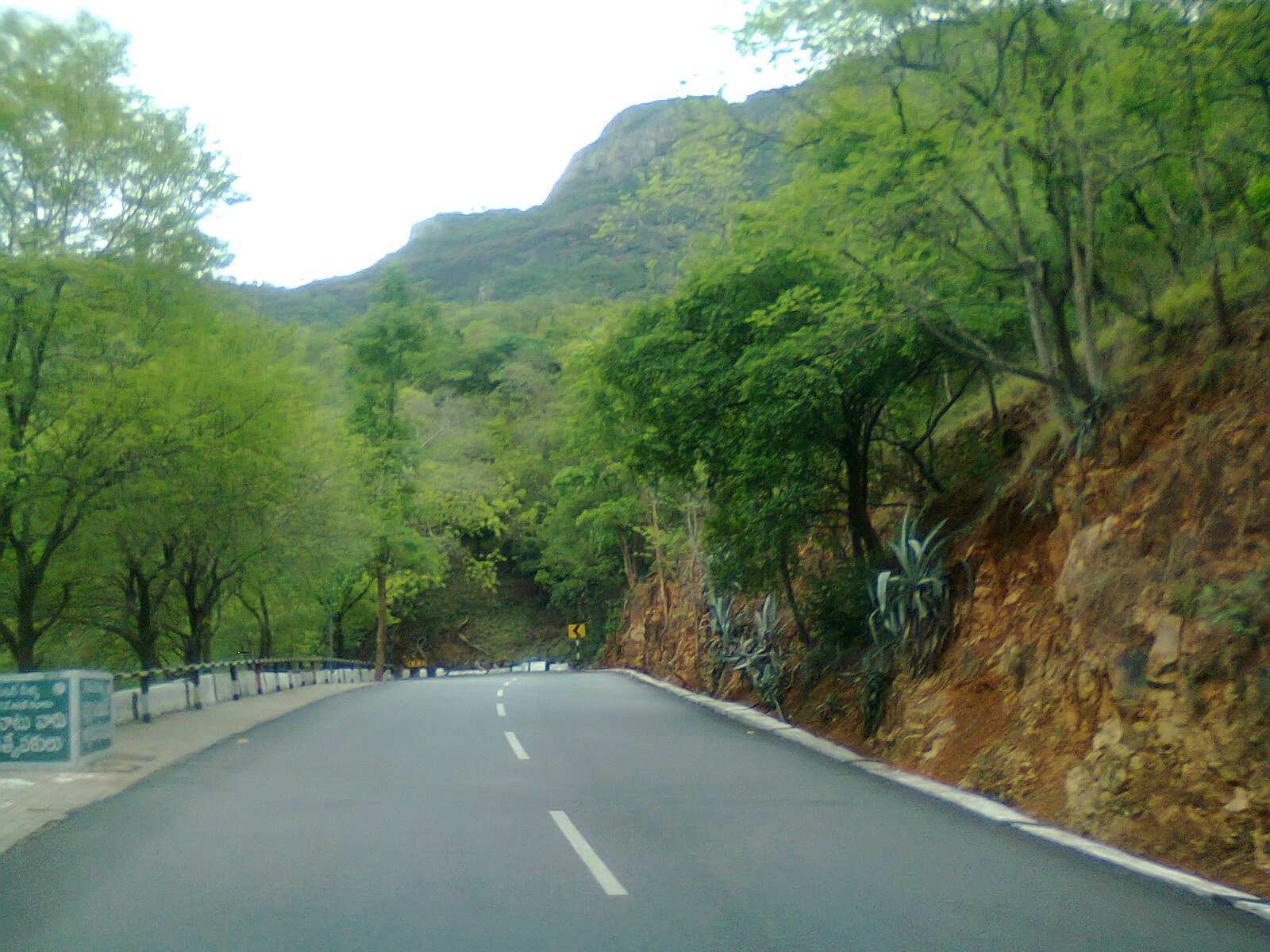 Tirumala Year 2023 Darshan temple entrance scene