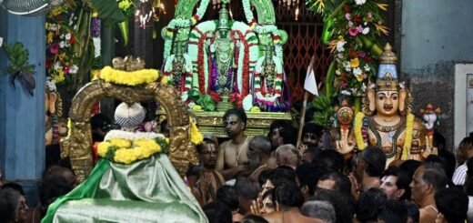Triplicane Parthasarathy Temple Vaikunta Ekadasi Sorgavasal festival devotees scene