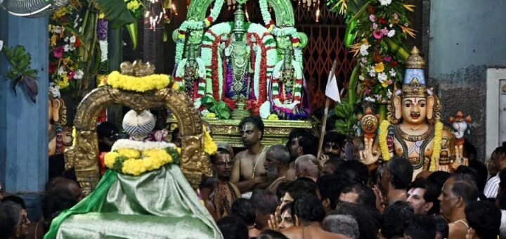 Triplicane Parthasarathy Temple Vaikunta Ekadasi Sorgavasal festival devotees scene