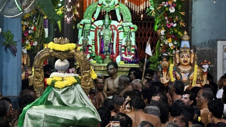 Triplicane Parthasarathy Temple Vaikunta Ekadasi Sorgavasal festival devotees scene