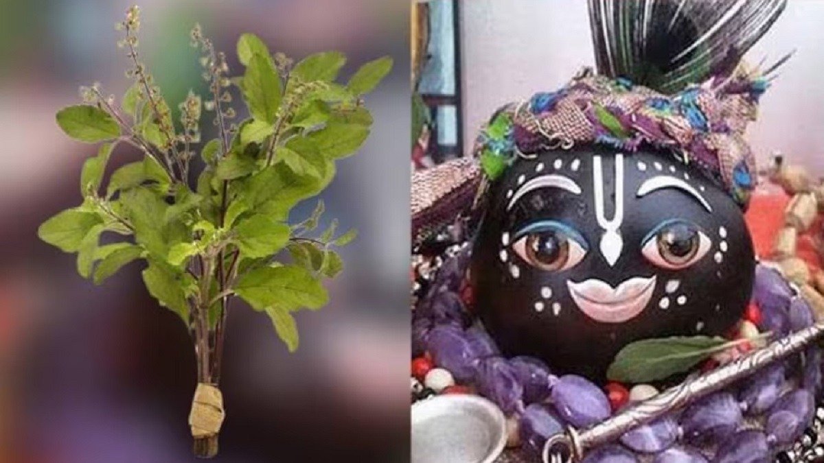 Tulsi Vivah 2022 Date ceremony decorations and rituals
